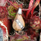 Schmuckanhänger Holzschmuck Holzanhänger Modeschmuck 